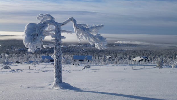 Discover Arctic Dreams at Snow Igloo Resort, Lapland
