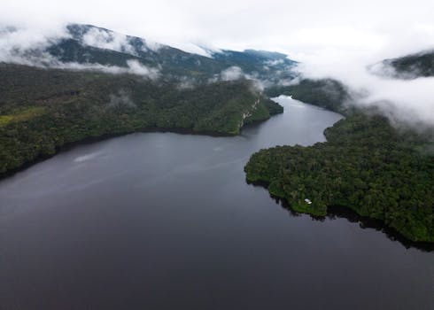 Embrace Rainforest Bliss at Refugio Amazonas, Peru