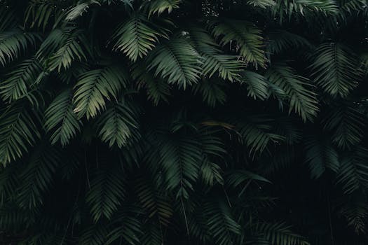 Embrace Rainforest Calm at Madidi Jungle Lodge, Bolivia